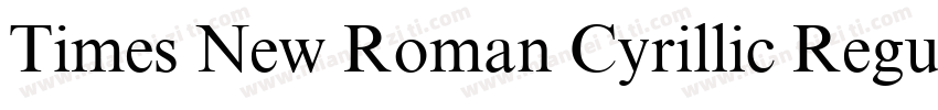 Times New Roman Cyrillic Regular字体转换